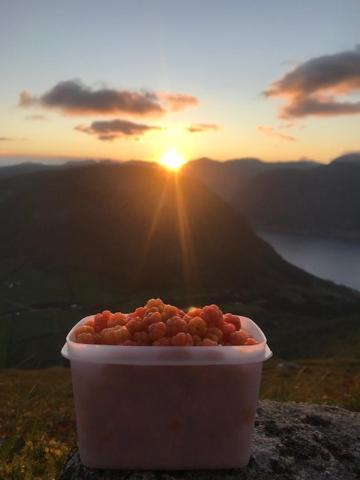 Kjøsnes *
