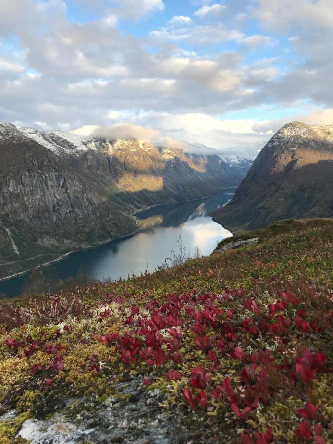 Kjøsnes Ferienhaus Skei (Sogn og Fjordane)